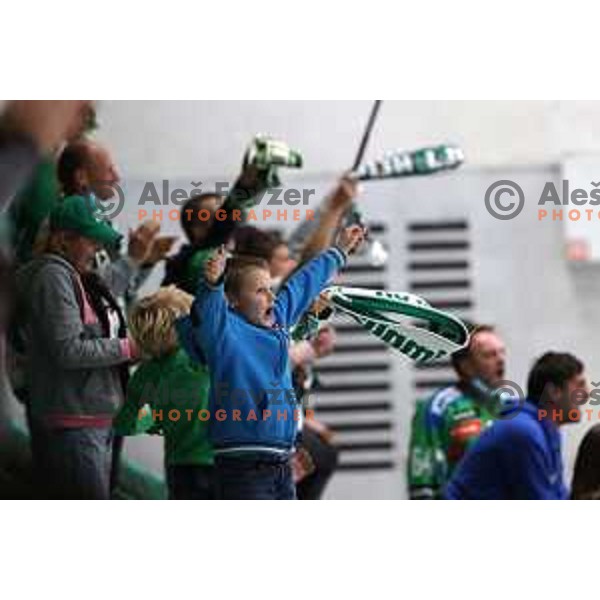 Action during IceHL 2021-2022 regular season ice-hockey match between SZ Olimpija and Black Wings Linz in Tivoli Hall, Ljubljana, Slovenia on September 26, 2021