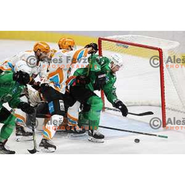 Ziga Pance in action during IceHL 2021-2022 regular season ice-hockey match between SZ Olimpija and Black Wings Linz in Tivoli Hall, Ljubljana, Slovenia on September 26, 2021