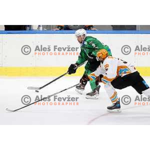 Daniel Wade Murphy in action during IceHL 2021-2022 regular season ice-hockey match between SZ Olimpija and Black Wings Linz in Tivoli Hall, Ljubljana, Slovenia on September 26, 2021 