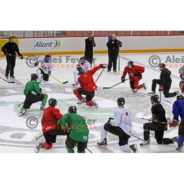 Canada team on practice before start of IIHF World champinship 2008 in Metro Centre, Halifax, Nova Scotia, Canada 1st of May 2008. Photo by Ales Fevzer 
