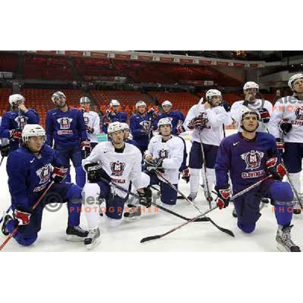 Slovenia ice-hockey team during practice before start of IIHF World championship 2008 in Metro Centre, Halifax, Nova Scotia, Canada 1st of May 2008. Photo by Ales Fevzer 