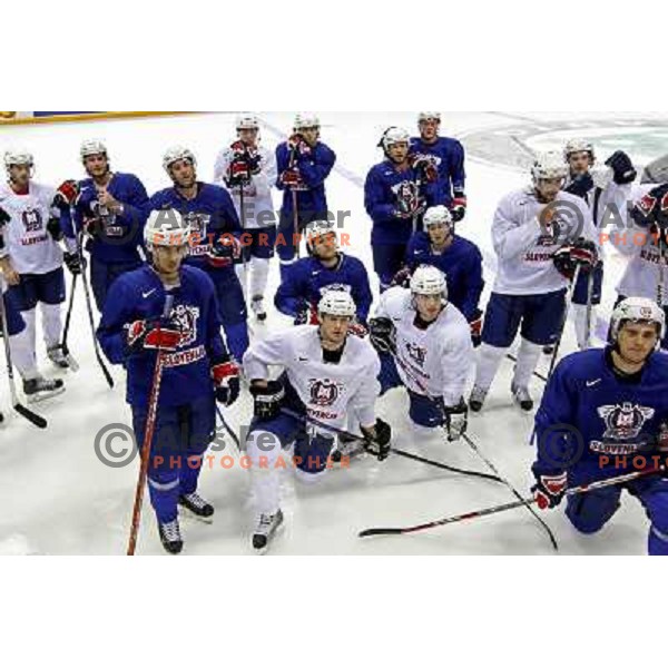 Slovenia ice-hockey team during practice before start of IIHF World championship 2008 in Metro Centre, Halifax, Nova Scotia, Canada 1st of May 2008. Photo by Ales Fevzer 