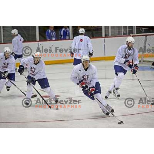 Slovenia ice-hockey team during practice before start of IIHF World championship 2008 in Metro Centre, Halifax, Nova Scotia, Canada 1st of May 2008. Photo by Ales Fevzer 