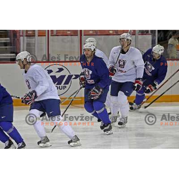 Dejan Varl of Slovenia ice-hockey team during practice before start of IIHF World championship 2008 in Metro Centre, Halifax, Nova Scotia, Canada 1st of May 2008. Photo by Ales Fevzer 