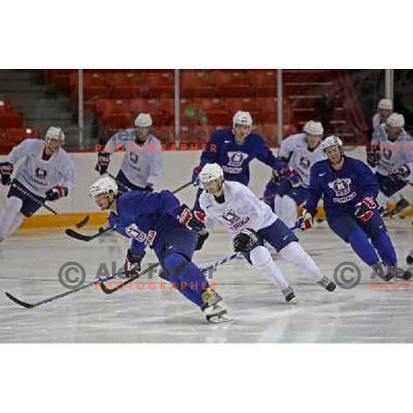 Slovenia ice-hockey team during practice before start of IIHF World championship 2008 in Metro Centre, Halifax, Nova Scotia, Canada 1st of May 2008. Photo by Ales Fevzer 