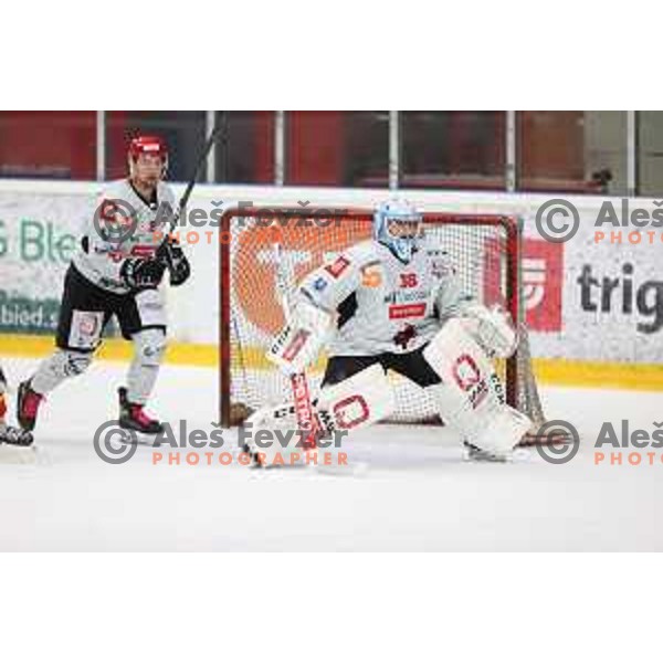 Oscar Fröberg in action at Alps hockey league match between HDD Sij Acroni Jesenice and Asiago at Jesenice, Slovenia on October 5, 2021