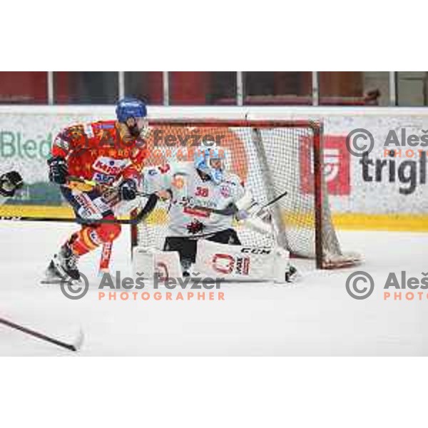 Oscar Fröberg in action at Alps hockey league match between HDD Sij Acroni Jesenice and Asiago at Jesenice, Slovenia on October 5, 2021