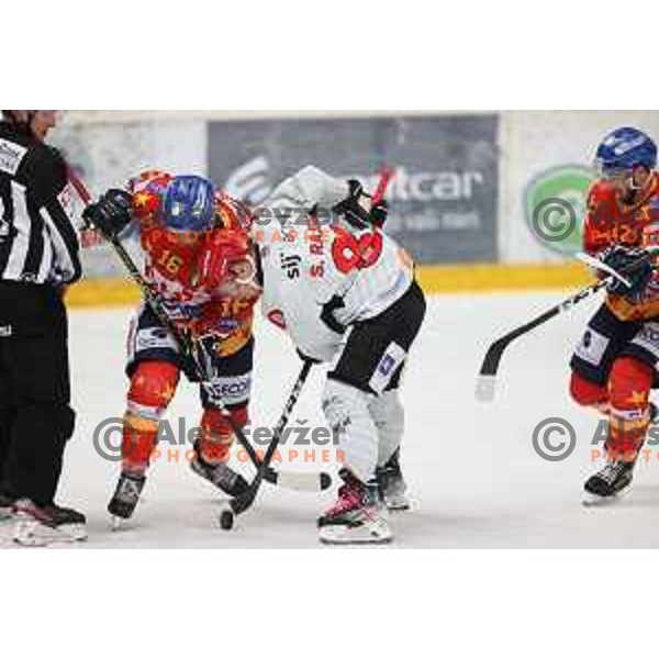 Saso Rajsar in action at Alps hockey league match between HDD Sij Acroni Jesenice and Asiago at Jesenice, Slovenia on October 5, 2021