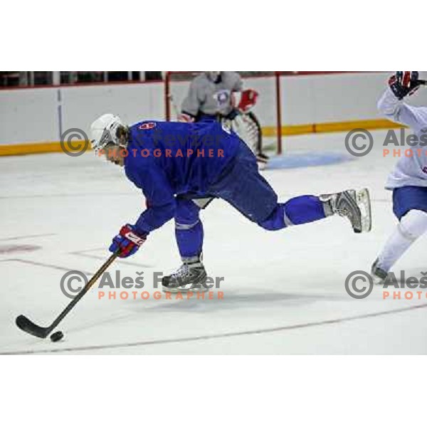 Anze Kopitar of Slovenia ice-hockey team during practice before start of IIHF World championship 2008 in Metro Centre, Halifax, Nova Scotia, Canada 1st of May 2008. Photo by Ales Fevzer 