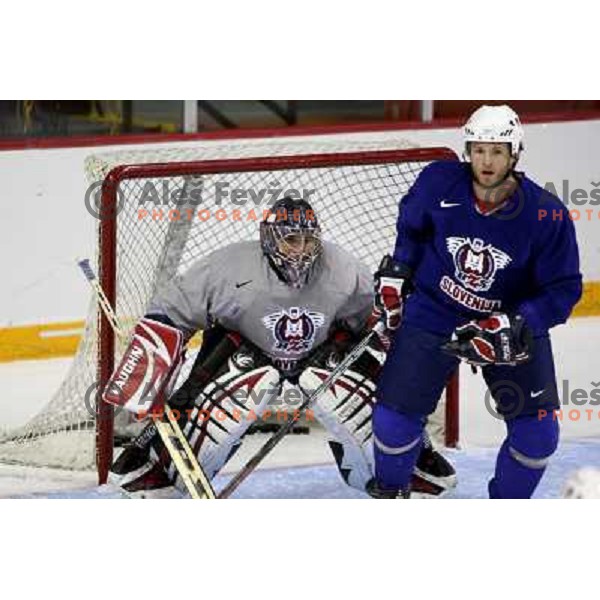 Hocevar and Varl of Slovenia ice-hockey team during practice before start of IIHF World championship 2008 in Metro Centre, Halifax, Nova Scotia, Canada 1st of May 2008. Photo by Ales Fevzer 