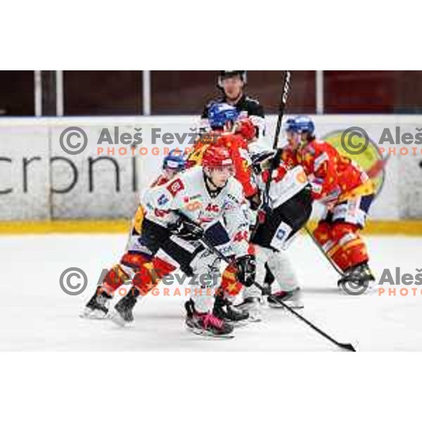 Nejc Stojan in action at Alps hockey league match between HDD Sij Acroni Jesenice and Asiago at Jesenice, Slovenia on October 5, 2021