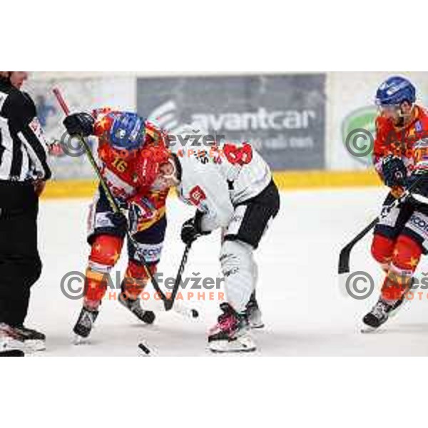 Saso Rajsar in action at Alps hockey league match between HDD Sij Acroni Jesenice and Asiago at Jesenice, Slovenia on October 5, 2021