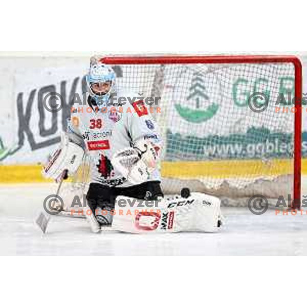 Oscar Fröberg in action at Alps hockey league match between HDD Sij Acroni Jesenice and Asiago at Jesenice, Slovenia on October 5, 2021