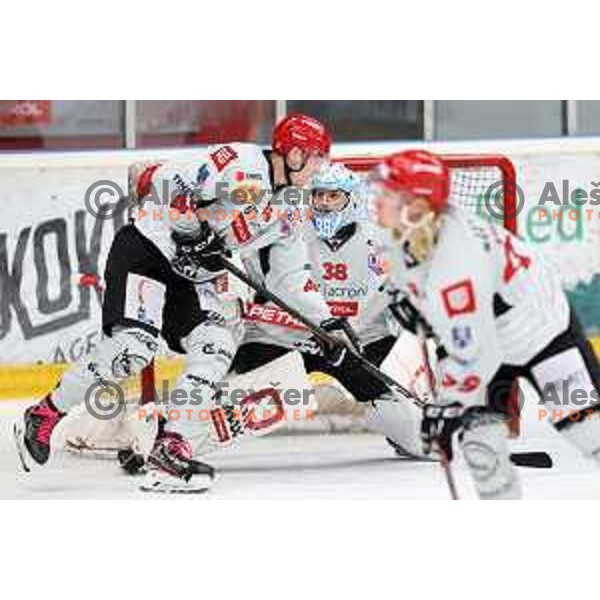 Nejc Stojan in action at Alps hockey league match between HDD Sij Acroni Jesenice and Asiago at Jesenice, Slovenia on October 5, 2021