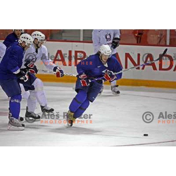 Gregor Poloncic of Slovenia ice-hockey team during practice before start of IIHF World championship 2008 in Metro Centre, Halifax, Nova Scotia, Canada 1st of May 2008. Photo by Ales Fevzer 