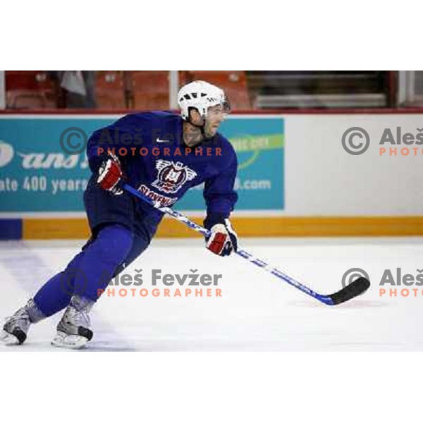 Tomaz Razingar of Slovenia ice-hockey team during practice before start of IIHF World championship 2008 in Metro Centre, Halifax, Nova Scotia, Canada 1st of May 2008. Photo by Ales Fevzer 