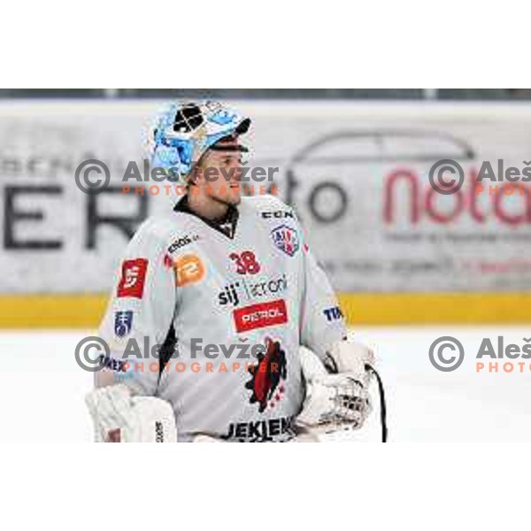 Oscar Fröberg in action at Alps hockey league match between HDD Sij Acroni Jesenice and Asiago at Jesenice, Slovenia on October 5, 2021