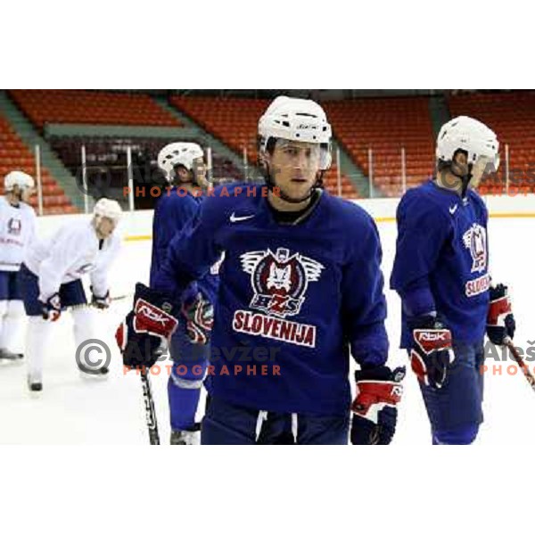 Slovenia ice-hockey team during practice before start of IIHF World championship 2008 in Metro Centre, Halifax, Nova Scotia, Canada 1st of May 2008. Photo by Ales Fevzer 