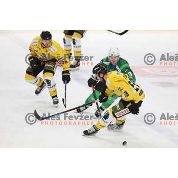 Luka Kalan in action during IceHL match between SZ Olimpija and Pustertal Wolfe in Ljubljana, Slovenia on October 8, 2021