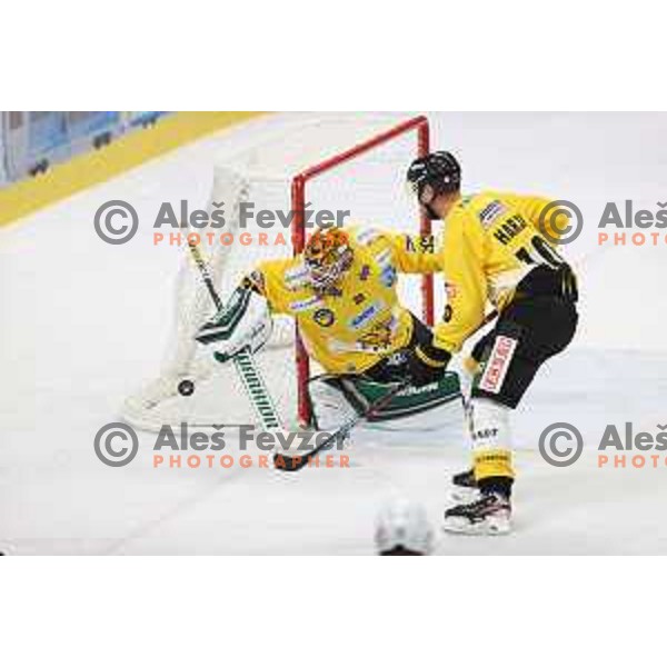 IceHL SZ Olimpija-Pustertal Wolfe, Ljubljana on October 8, 2021