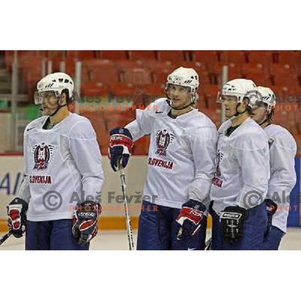 Slovenia ice-hockey team during practice before start of IIHF World championship 2008 in Metro Centre, Halifax, Nova Scotia, Canada 1st of May 2008. Photo by Ales Fevzer 