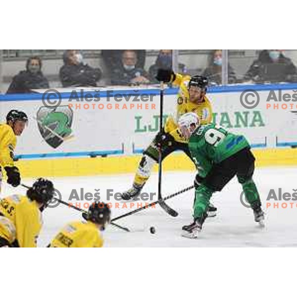 Tadej Cimzar in action during IceHL match between SZ Olimpija and Pustertal Wolfe in Ljubljana, Slovenia on October 8, 2021