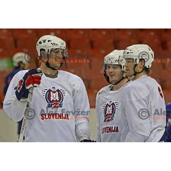 Slovenia ice-hockey team during practice before start of IIHF World championship 2008 in Metro Centre, Halifax, Nova Scotia, Canada 1st of May 2008. Photo by Ales Fevzer 