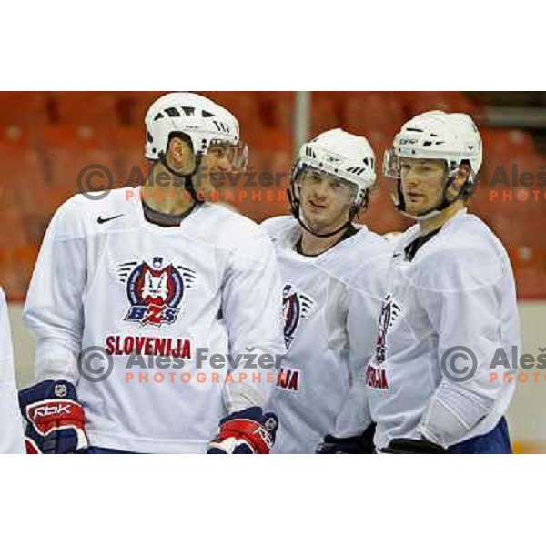 Slovenia ice-hockey team during practice before start of IIHF World championship 2008 in Metro Centre, Halifax, Nova Scotia, Canada 1st of May 2008. Photo by Ales Fevzer 