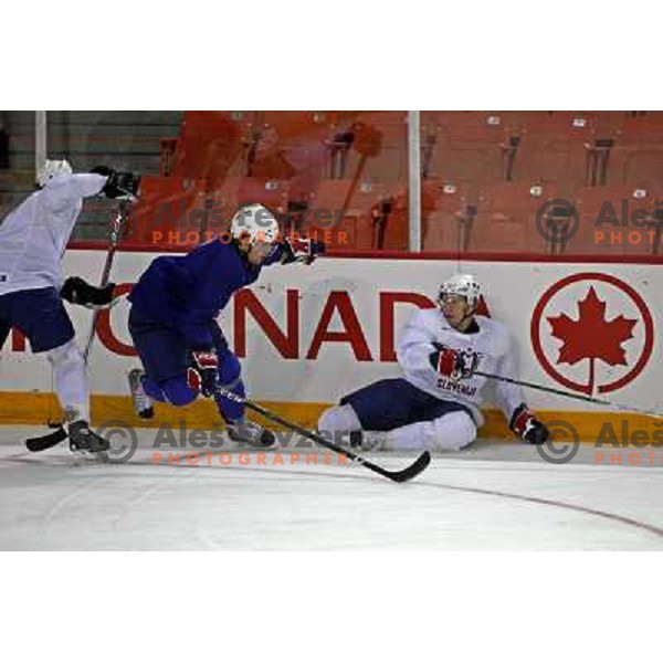 Slovenia ice-hockey team during practice before start of IIHF World championship 2008 in Metro Centre, Halifax, Nova Scotia, Canada 1st of May 2008. Photo by Ales Fevzer 
