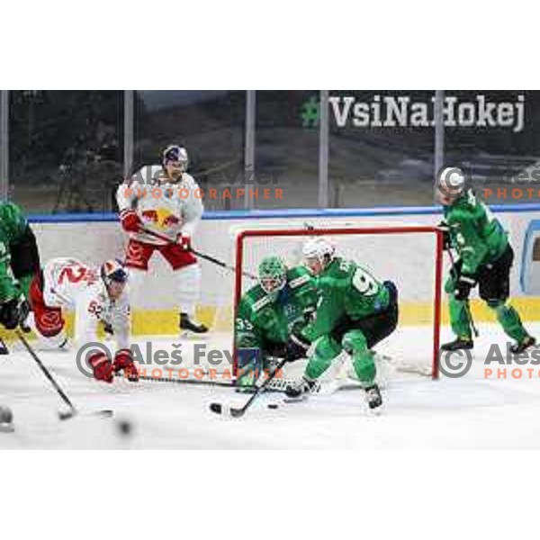 Zan Us and Luka Kalan of SZ Olimpija in action during IceHL match between SZ Olimpija and Red Bulls Salzburg in Ljubljana, Slovenia on October 10, 2021