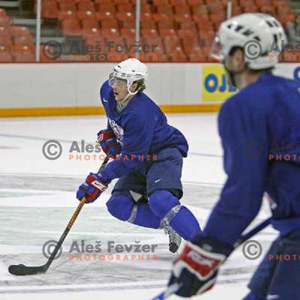 Anze Kopitar of Slovenia ice-hockey team during practice before start of IIHF World championship 2008 in Metro Centre, Halifax, Nova Scotia, Canada 1st of May 2008. Photo by Ales Fevzer 