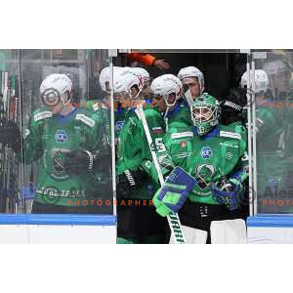 Blaz Tomazevic of SZ Olimpija in action during IceHL match between SZ Olimpija and Red Bulls Salzburg in Ljubljana, Slovenia on October 10, 2021