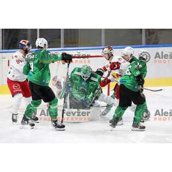 of SZ Olimpija in action during IceHL match between SZ Olimpija and Red Bulls Salzburg in Ljubljana, Slovenia on October 10, 2021