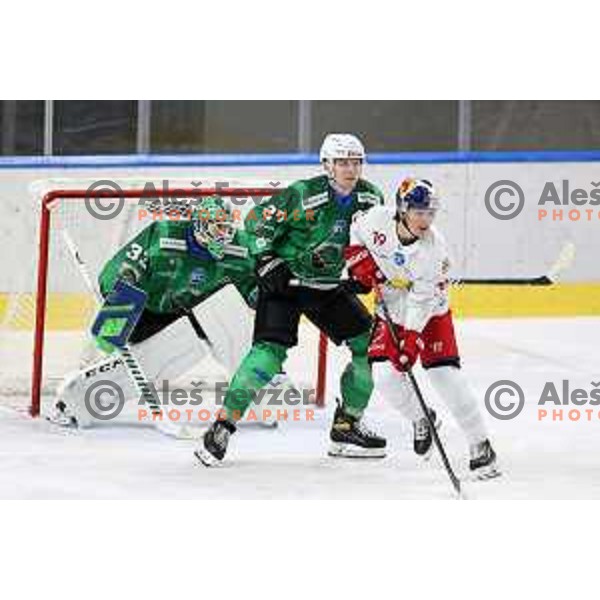 Mark Cepon of SZ Olimpija in action during IceHL match between SZ Olimpija and Red Bulls Salzburg in Ljubljana, Slovenia on October 10, 2021