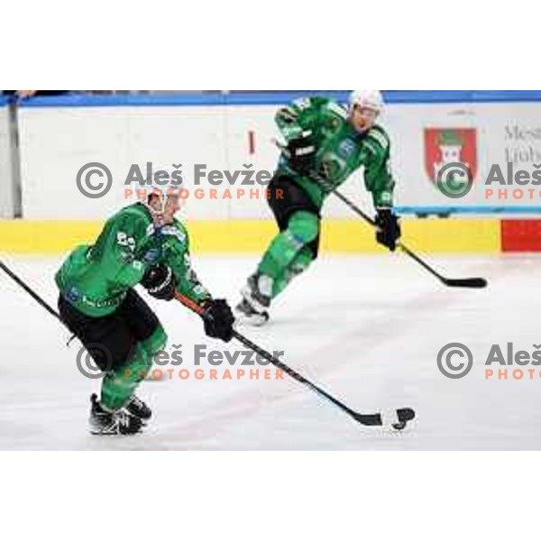 Luka Kalan of SZ Olimpija in action during IceHL match between SZ Olimpija and Red Bulls Salzburg in Ljubljana, Slovenia on October 10, 2021