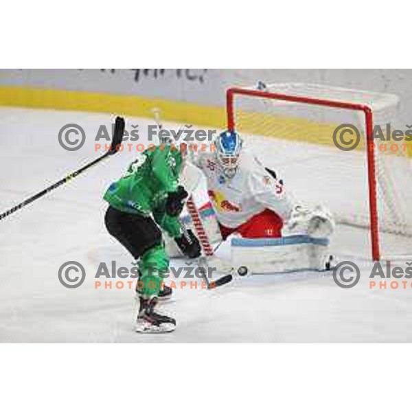 Atte Tolvanen in action during IceHL match between SZ Olimpija and Red Bulls Salzburg in Ljubljana, Slovenia on October 10, 2021