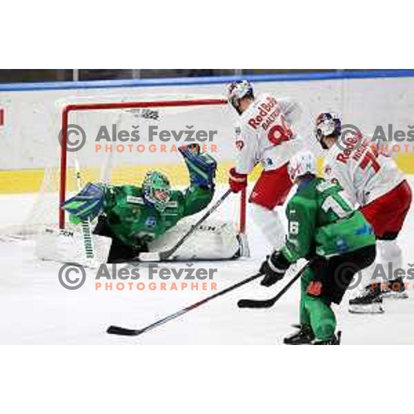 Zan Us of SZ Olimpija in action during IceHL match between SZ Olimpija and Red Bulls Salzburg in Ljubljana, Slovenia on October 10, 2021