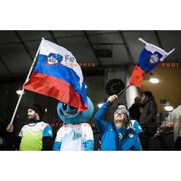 Slovenia supporters in action during World Cup 2022 qualifiers football match between Slovenia and Russia in Ljudski vrt, Maribor, Slovenia on October 11, 2021