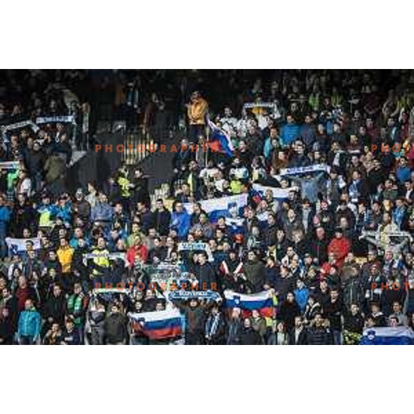 Slovenia supporters in action during World Cup 2022 qualifiers football match between Slovenia and Russia in Ljudski vrt, Maribor, Slovenia on October 11, 2021