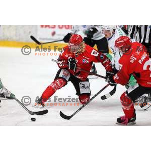 Slovenian National league ice-hockey match between HDD Sij Acroni Jesenice and SZ Olimpija at Jesenice, Slovenia on October 12, 2021