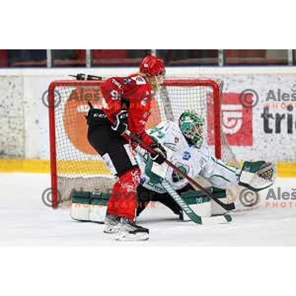 Slovenian National league ice-hockey match between HDD Sij Acroni Jesenice and SZ Olimpija at Jesenice, Slovenia on October 12, 2021