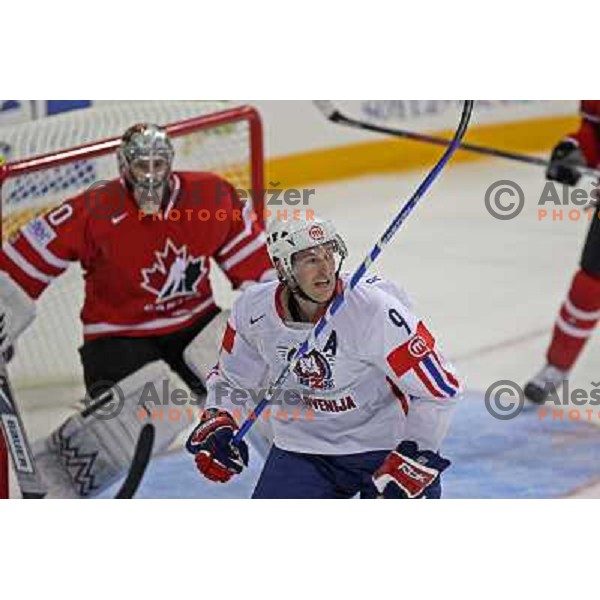 Tomaz Razingar (9) of Slovenia at IIHF World championship 2008 preliminary round group B, played in Halifax, Nova Scotia, Canada May 2nd 2008. Canada beat Slovenia 5:1. Photo by Ales Fevzer 
