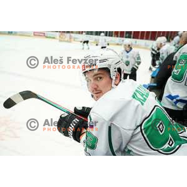 Luka Kalan in action during Slovenian National league ice-hockey match between HDD Sij Acroni Jesenice and SZ Olimpija at Jesenice, Slovenia on October 12, 2021