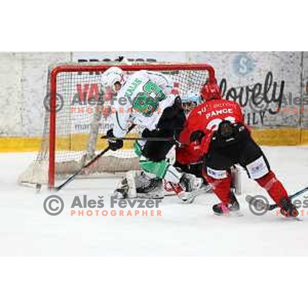 Luka Kalan in action during Slovenian National league ice-hockey match between HDD Sij Acroni Jesenice and SZ Olimpija at Jesenice, Slovenia on October 12, 2021