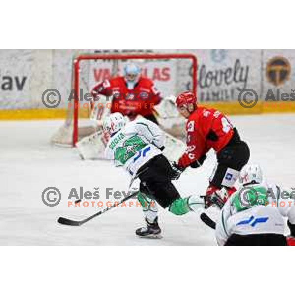 Slovenian National league ice-hockey match between HDD Sij Acroni Jesenice and SZ Olimpija at Jesenice, Slovenia on October 12, 2021