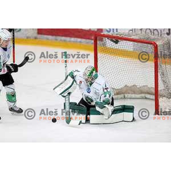 Slovenian National league ice-hockey match between HDD Sij Acroni Jesenice and SZ Olimpija at Jesenice, Slovenia on October 12, 2021