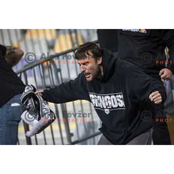 Fans of Mura in action during UEFA Europa Conference League football match between NS Mura and Stade Rennais FC in Ljudski vrt, Maribor, Slovenia on October 21, 2021