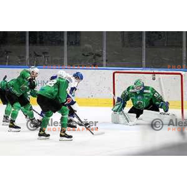Zan Us of SZ Olimpija in action during IceHL match between SZ Olimpija and VSV Villach in Ljubljana, Slovenia on October 22, 2021