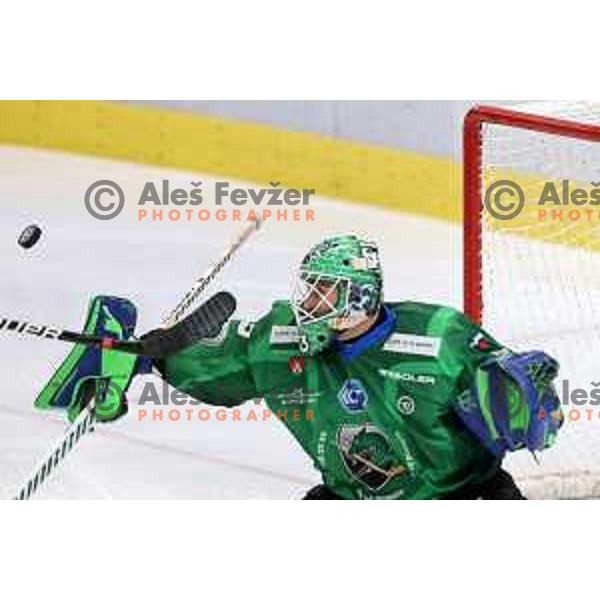 Zan Us of SZ Olimpija in action during IceHL match between SZ Olimpija and VSV Villach in Ljubljana, Slovenia on October 22, 2021