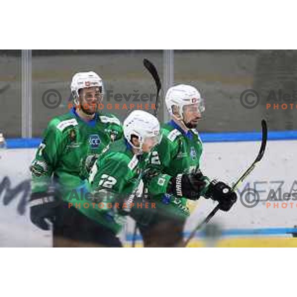 Nik Simsic of SZ Olimpija in action during IceHL match between SZ Olimpija and VSV Villach in Ljubljana, Slovenia on October 22, 2021